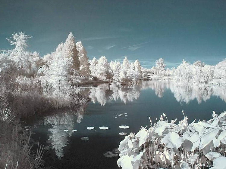 写给七十岁时的自己 - 老教授 - 老教授