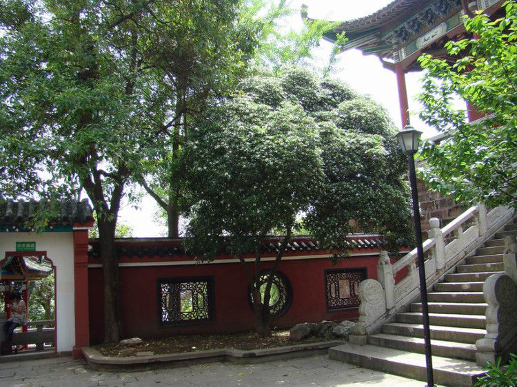 中国历史名楼总览 - 海阔山遥 - .