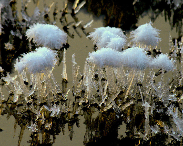 罕见的盐湖硝花（原创）