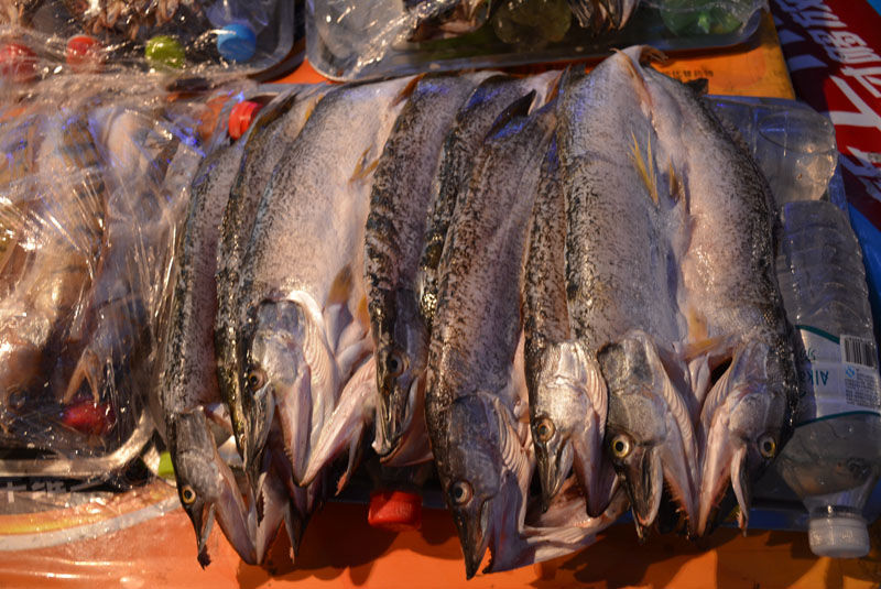 布尔津的夜市不容错过 - 木子弓长 - 驴游记