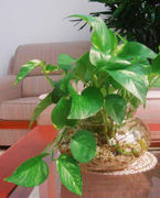 找准你家的财位！金钱来找你，挡也挡不住 - 吝色鬼 - 吝色鬼 的博客