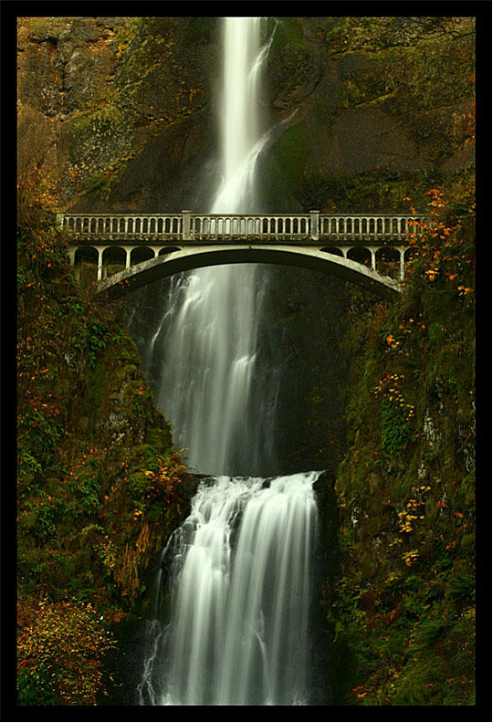 世界上最迷人的桥! (太美了) - ★我的家园你的乐园★ - ★★★我的家园★你的乐园★★★