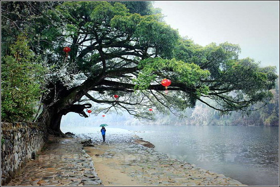 摄影口诀大全！【摄影知识】 - 無為居士 - 聚美齋