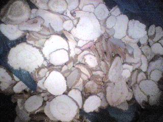 白芷片。作用；驱腥增香，驱腥效果特好。