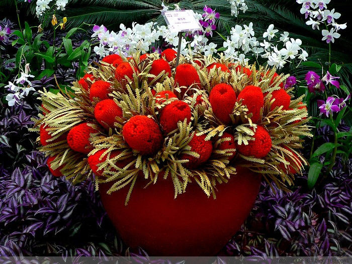 两性人体知识大全！不可不知... - 宝贝梦 - 分享美丽.分享快乐.品味人生