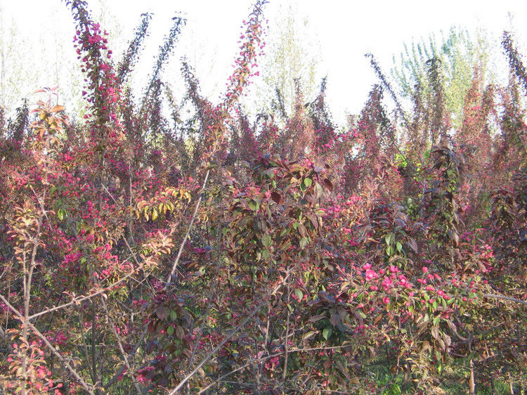 全国仅存的人民公社 无一人外出打工【图】 - 美体、情感、博文精品 - 美体情感、心灵驿站