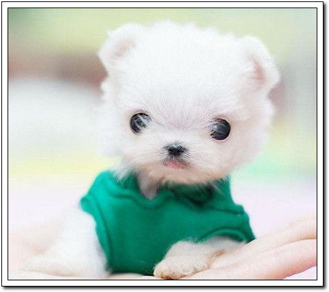 周末要轻松！【幽默图片50P】 - 無為居士 - 聚美齋