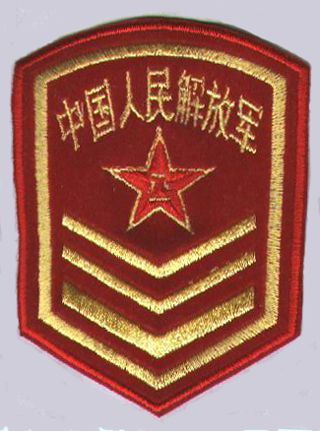 三军仪仗队陆军