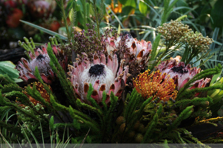 两性人体知识大全！不可不知... - 宝贝梦 - 分享美丽.分享快乐.品味人生