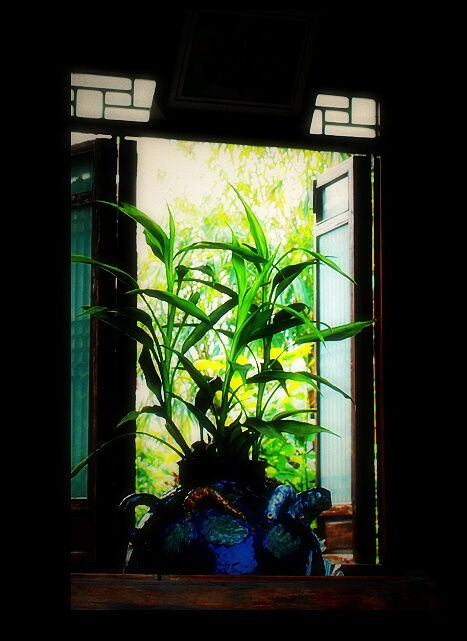 庭院深深深几许——大宅门小记