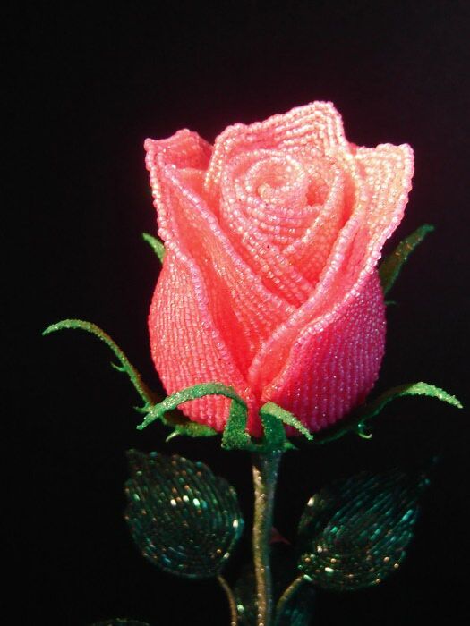 DSC00013 (525x700, 65Kb)