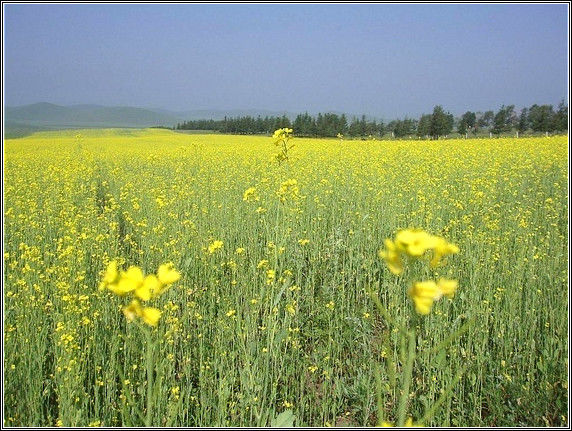 美丽中国之美景大全！【巨量合集】 - 無為居士 - 聚美齋