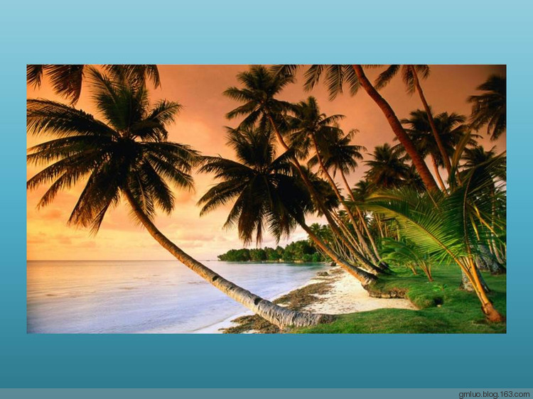 握住长寿的钥匙 - 老教授 - 老教授