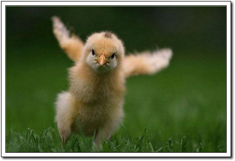 周末要轻松！【幽默图片50P】 - 無為居士 - 聚美齋