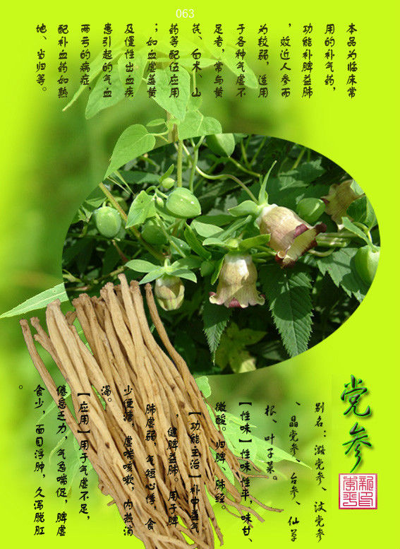 [转载]常用中草药300种图谱