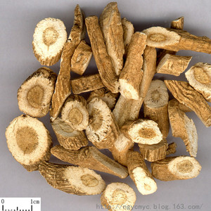 绿豆与板蓝根专治酒精肝和脂肪肝 - ngycmyc - ngycmyc的博客