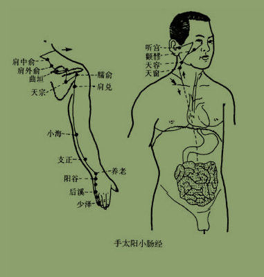 最简“治百病”锻炼方法（共有十节 可供选练） - 逍遥 - 逍遥