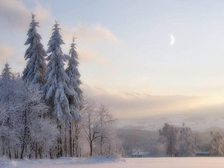 写给七十岁时的自己 - 老教授 - 老教授
