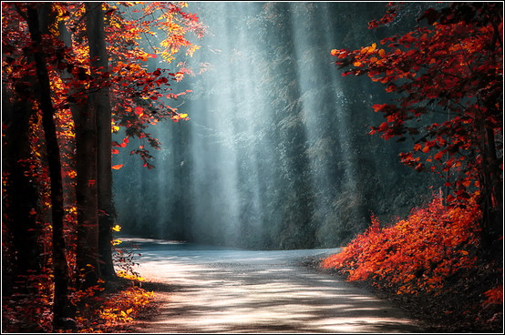 摄影口诀大全！【摄影知识】 - 無為居士 - 聚美齋