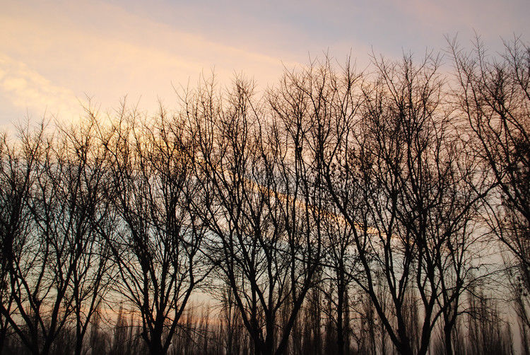 鄯善 - JOJO - JOJO带你游世界