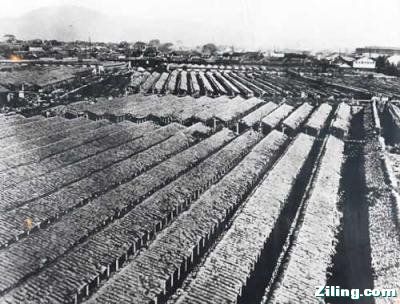 1919年 南京 科举考场地.jpg