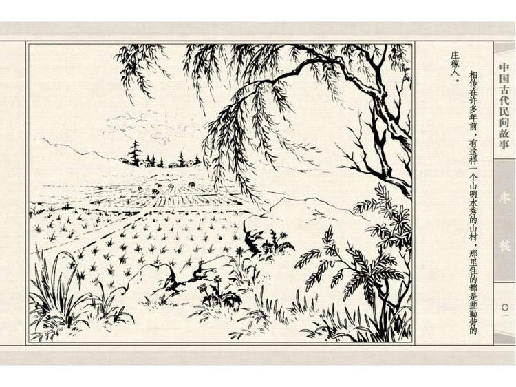 枣核 - shunlin01 - 美术资料与连环画