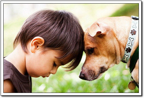 周末要轻松！【幽默图片50P】 - 無為居士 - 聚美齋