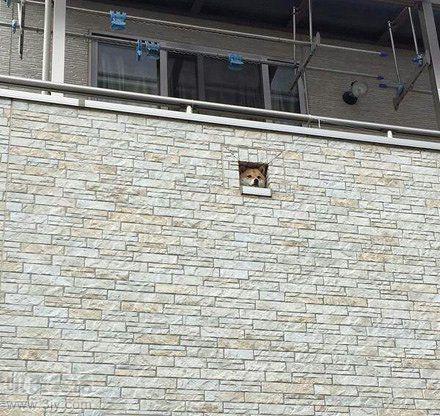 真看门狗这城市那么空