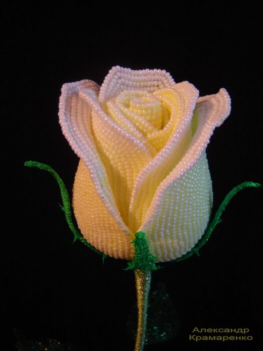 DSC00004_2 (525x700, 57Kb)