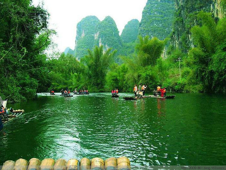 绿油油的～～太美了～～ - 宝贝梦 - 分享美丽·分享快乐·品味人生