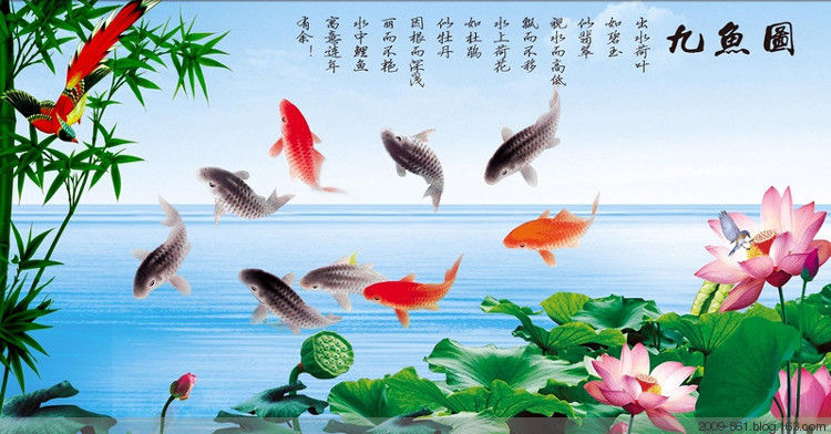 吉祥富贵“九鱼图“99幅，太漂亮了 - 宝贝梦 - 分享美丽·分享快乐·品味人生