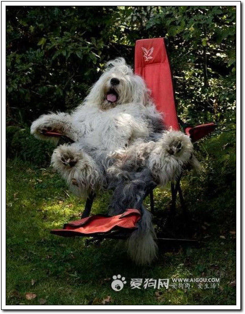 周末要轻松！【幽默图片50P】 - 無為居士 - 聚美齋