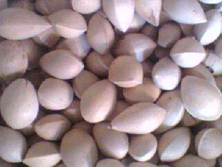 白果[别名；银杏。味甘，种仁，苦，涩，性平，有小毒。]功能；润肺定喘，温经止带。作用，驱腥增香。