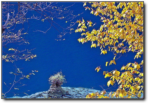 秋旖旎秋色 美不胜收  伊水一方 开心屋