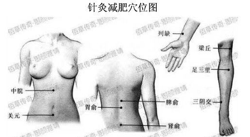 人体常用穴位及功用 - 铜雀台 - .