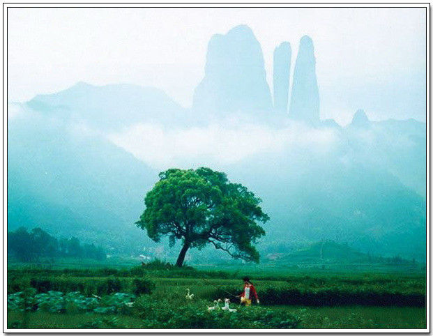 中国名山，景色怡人！ - 以博会友 - 以博会友