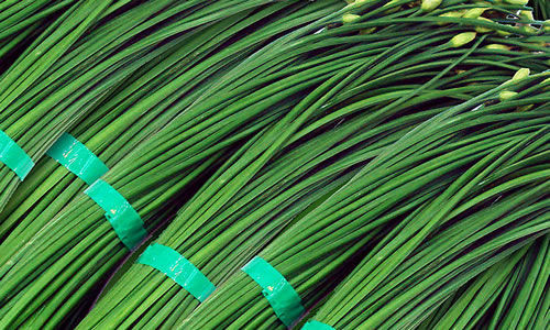 王鹤滨叫好的70秘方 - 天一 - 天人合一