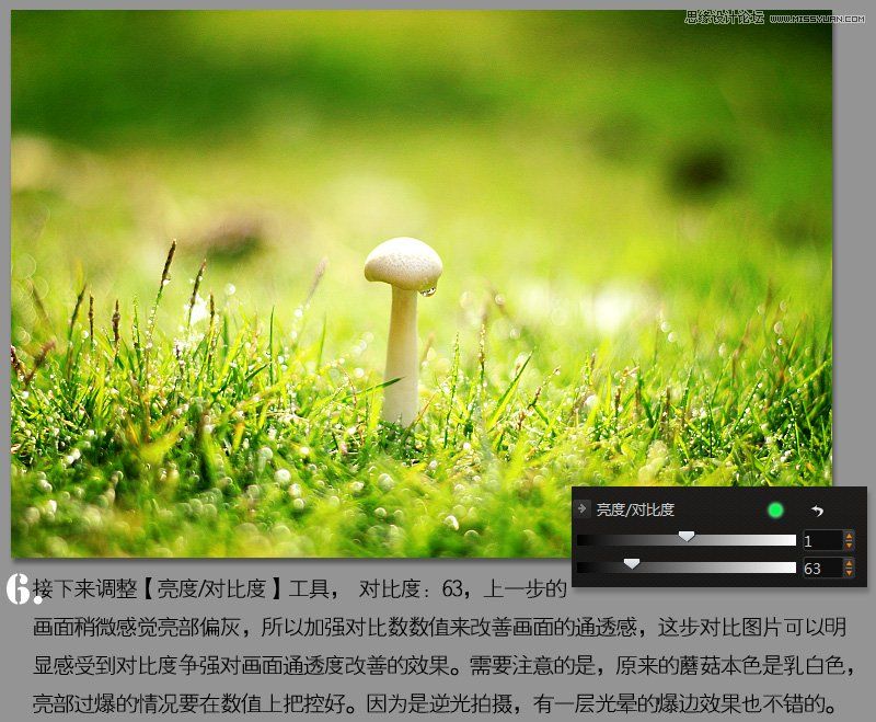 Photoshop调出风景照片唯美的暖色效果