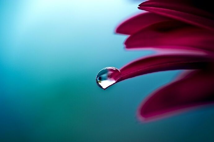 插画心语：一些事，只能当记忆。一些人，只能做过客| jiaren.org