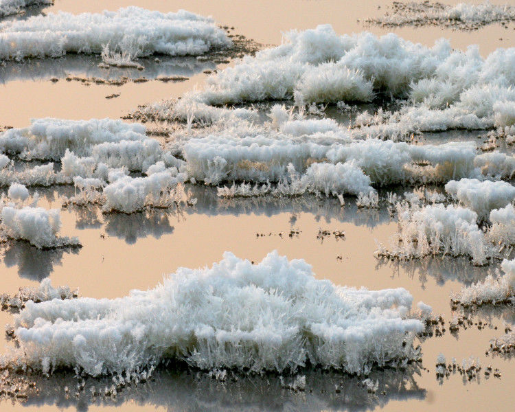 罕见的盐湖硝花【原创】 