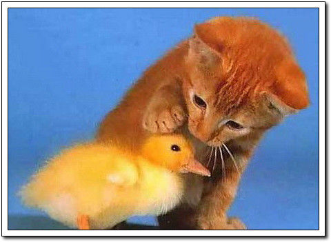 周末要轻松！【幽默图片50P】 - 無為居士 - 聚美齋