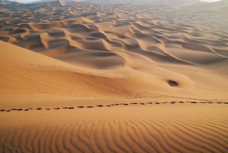 鄯善 - JOJO - JOJO带你游世界