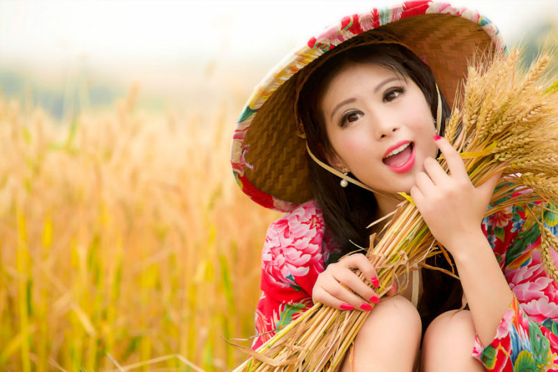 麦子熟了【美女素材】 - 我是一片云 -             我是一片云