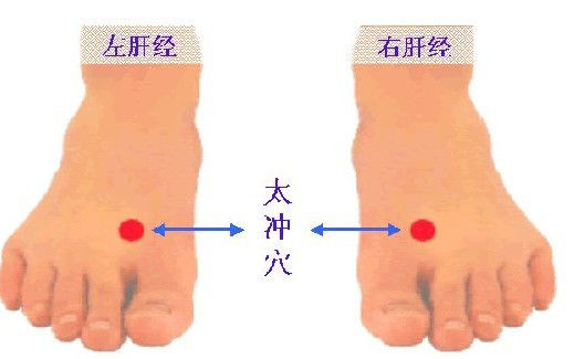 人体常用穴位及功用 - 铜雀台 - .