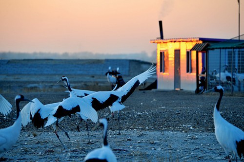 风光摄影圣经之光影的表现力