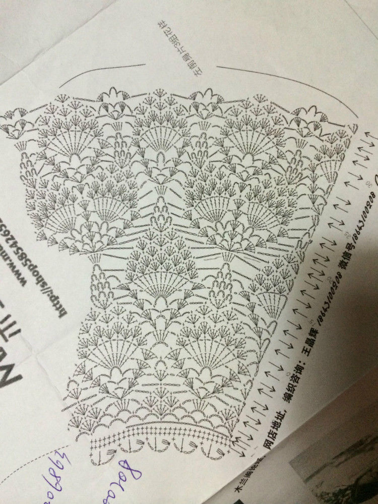 短款雀羽 （2015） - 瑜伽猫 - 瑜伽猫的博客