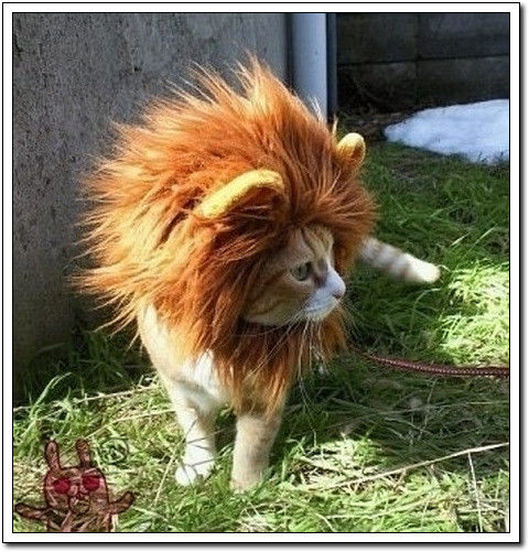 周末要轻松！【幽默图片50P】 - 無為居士 - 聚美齋