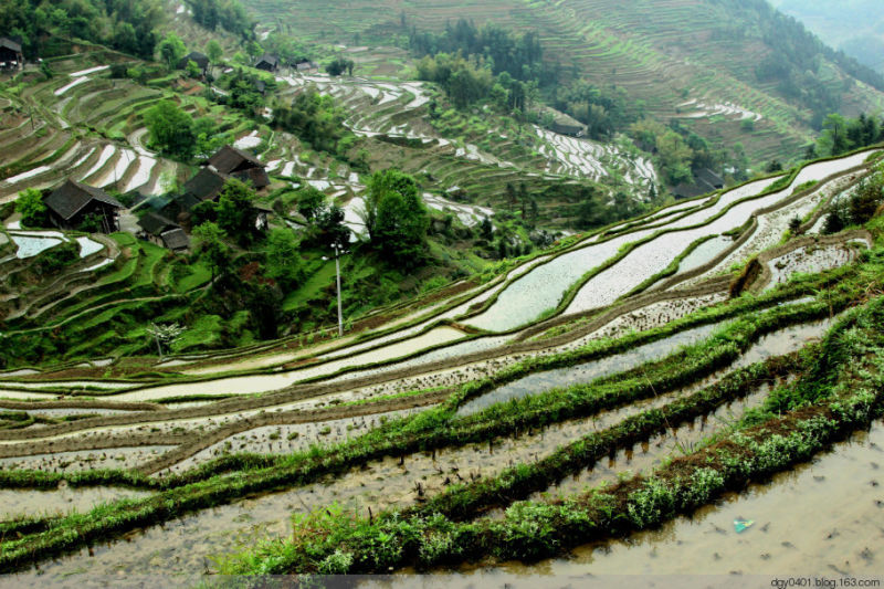 紫鹊界——冷风凄雨中的梯田 - 酉水人 - 酉水人