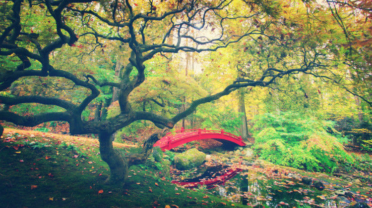 中外桥梁  美景大全 - 