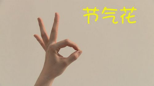 情景剧：动动手指练瑜伽